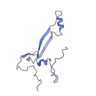 26444_7ucj_Aa_v1-0
Mammalian 80S translation initiation complex with mRNA and Harringtonine