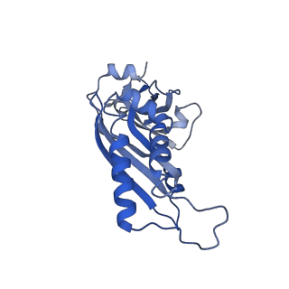 26444_7ucj_BB_v2-1
Mammalian 80S translation initiation complex with mRNA and Harringtonine