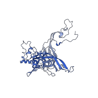 26444_7ucj_B_v1-0
Mammalian 80S translation initiation complex with mRNA and Harringtonine