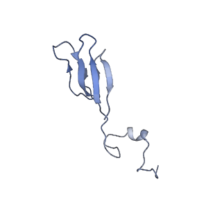 26444_7ucj_Bb_v1-0
Mammalian 80S translation initiation complex with mRNA and Harringtonine
