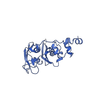 26444_7ucj_CC_v1-0
Mammalian 80S translation initiation complex with mRNA and Harringtonine