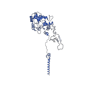 26444_7ucj_C_v1-0
Mammalian 80S translation initiation complex with mRNA and Harringtonine