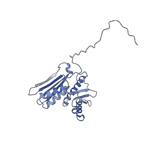 26444_7ucj_DD_v1-0
Mammalian 80S translation initiation complex with mRNA and Harringtonine