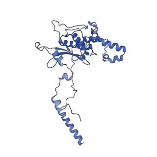 26444_7ucj_D_v1-0
Mammalian 80S translation initiation complex with mRNA and Harringtonine
