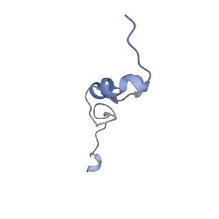 26444_7ucj_Dd_v1-0
Mammalian 80S translation initiation complex with mRNA and Harringtonine