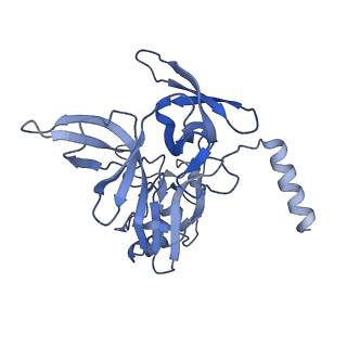 26444_7ucj_EE_v1-0
Mammalian 80S translation initiation complex with mRNA and Harringtonine