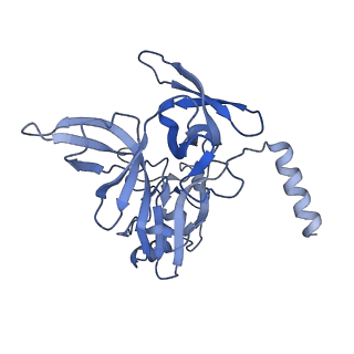 26444_7ucj_EE_v2-1
Mammalian 80S translation initiation complex with mRNA and Harringtonine