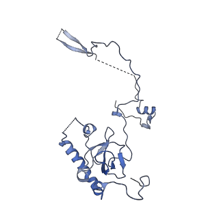 26444_7ucj_E_v1-0
Mammalian 80S translation initiation complex with mRNA and Harringtonine