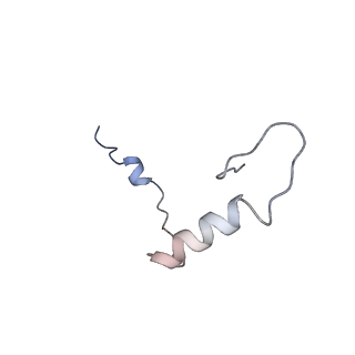26444_7ucj_Ee_v1-0
Mammalian 80S translation initiation complex with mRNA and Harringtonine