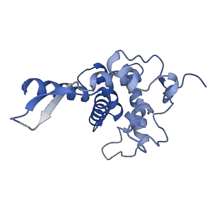 26444_7ucj_FF_v1-0
Mammalian 80S translation initiation complex with mRNA and Harringtonine
