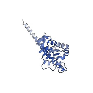 26444_7ucj_F_v1-0
Mammalian 80S translation initiation complex with mRNA and Harringtonine