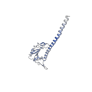 26444_7ucj_GG_v1-0
Mammalian 80S translation initiation complex with mRNA and Harringtonine