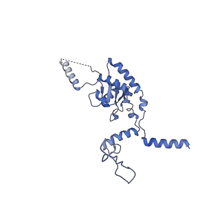 26444_7ucj_G_v1-0
Mammalian 80S translation initiation complex with mRNA and Harringtonine