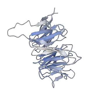 26444_7ucj_Gg_v1-0
Mammalian 80S translation initiation complex with mRNA and Harringtonine