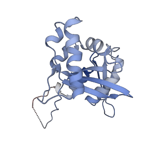 26444_7ucj_HH_v1-0
Mammalian 80S translation initiation complex with mRNA and Harringtonine