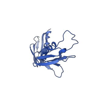 26444_7ucj_H_v1-0
Mammalian 80S translation initiation complex with mRNA and Harringtonine