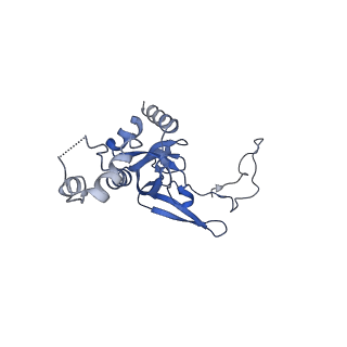26444_7ucj_II_v1-0
Mammalian 80S translation initiation complex with mRNA and Harringtonine