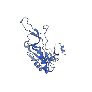 26444_7ucj_I_v1-0
Mammalian 80S translation initiation complex with mRNA and Harringtonine