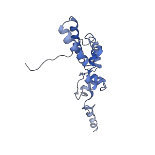 26444_7ucj_JJ_v1-0
Mammalian 80S translation initiation complex with mRNA and Harringtonine