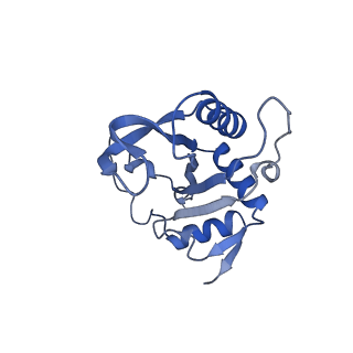 26444_7ucj_J_v1-0
Mammalian 80S translation initiation complex with mRNA and Harringtonine