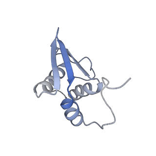 26444_7ucj_KK_v1-0
Mammalian 80S translation initiation complex with mRNA and Harringtonine