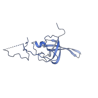 26444_7ucj_LL_v1-0
Mammalian 80S translation initiation complex with mRNA and Harringtonine