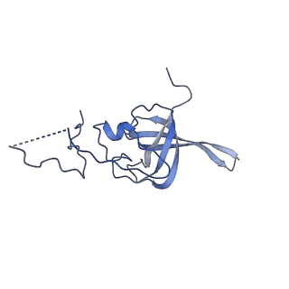 26444_7ucj_LL_v2-1
Mammalian 80S translation initiation complex with mRNA and Harringtonine