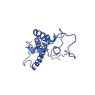 26444_7ucj_NN_v1-0
Mammalian 80S translation initiation complex with mRNA and Harringtonine
