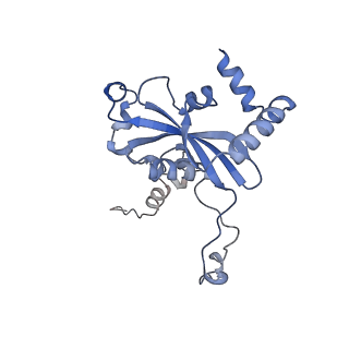 26444_7ucj_N_v1-0
Mammalian 80S translation initiation complex with mRNA and Harringtonine