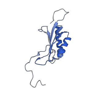 26444_7ucj_OO_v1-0
Mammalian 80S translation initiation complex with mRNA and Harringtonine
