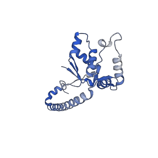 26444_7ucj_O_v1-0
Mammalian 80S translation initiation complex with mRNA and Harringtonine