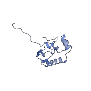 26444_7ucj_PP_v2-1
Mammalian 80S translation initiation complex with mRNA and Harringtonine