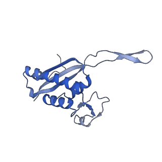 26444_7ucj_P_v1-0
Mammalian 80S translation initiation complex with mRNA and Harringtonine