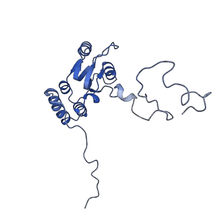 26444_7ucj_Q_v1-0
Mammalian 80S translation initiation complex with mRNA and Harringtonine