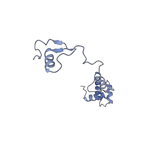 26444_7ucj_RR_v1-0
Mammalian 80S translation initiation complex with mRNA and Harringtonine