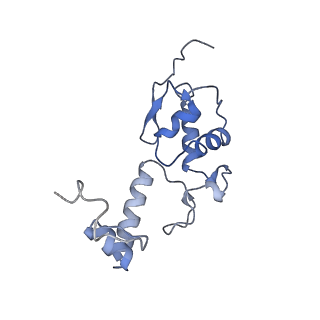 26444_7ucj_SS_v1-0
Mammalian 80S translation initiation complex with mRNA and Harringtonine