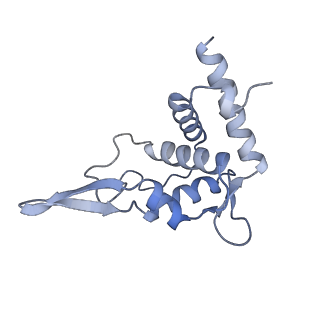 26444_7ucj_TT_v1-0
Mammalian 80S translation initiation complex with mRNA and Harringtonine