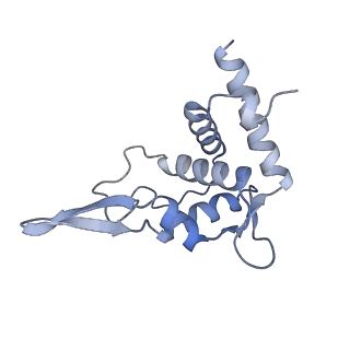 26444_7ucj_TT_v2-1
Mammalian 80S translation initiation complex with mRNA and Harringtonine