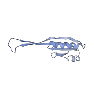 26444_7ucj_UU_v1-0
Mammalian 80S translation initiation complex with mRNA and Harringtonine