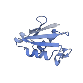 26444_7ucj_U_v1-0
Mammalian 80S translation initiation complex with mRNA and Harringtonine