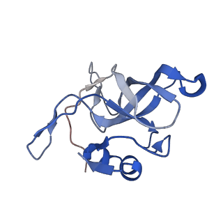 26444_7ucj_V_v1-0
Mammalian 80S translation initiation complex with mRNA and Harringtonine