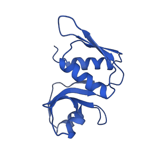 26444_7ucj_WW_v1-0
Mammalian 80S translation initiation complex with mRNA and Harringtonine