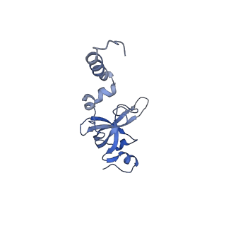 26444_7ucj_XX_v1-0
Mammalian 80S translation initiation complex with mRNA and Harringtonine