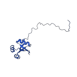 26444_7ucj_X_v1-0
Mammalian 80S translation initiation complex with mRNA and Harringtonine