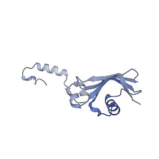 26444_7ucj_YY_v1-0
Mammalian 80S translation initiation complex with mRNA and Harringtonine