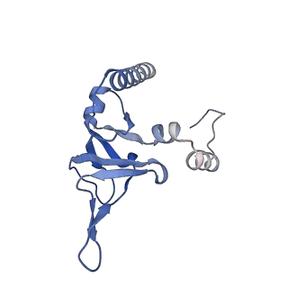26444_7ucj_Y_v1-0
Mammalian 80S translation initiation complex with mRNA and Harringtonine