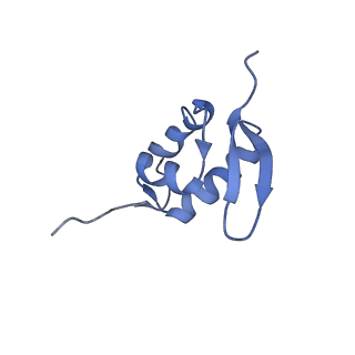 26444_7ucj_ZZ_v1-0
Mammalian 80S translation initiation complex with mRNA and Harringtonine