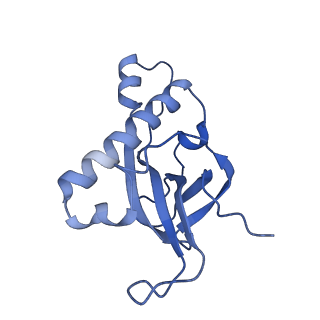 26444_7ucj_Z_v1-0
Mammalian 80S translation initiation complex with mRNA and Harringtonine
