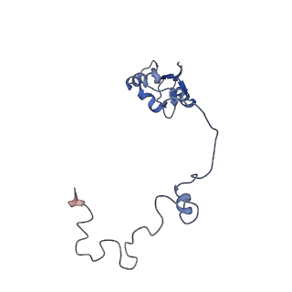26444_7ucj_a_v1-0
Mammalian 80S translation initiation complex with mRNA and Harringtonine