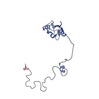 26444_7ucj_a_v2-1
Mammalian 80S translation initiation complex with mRNA and Harringtonine